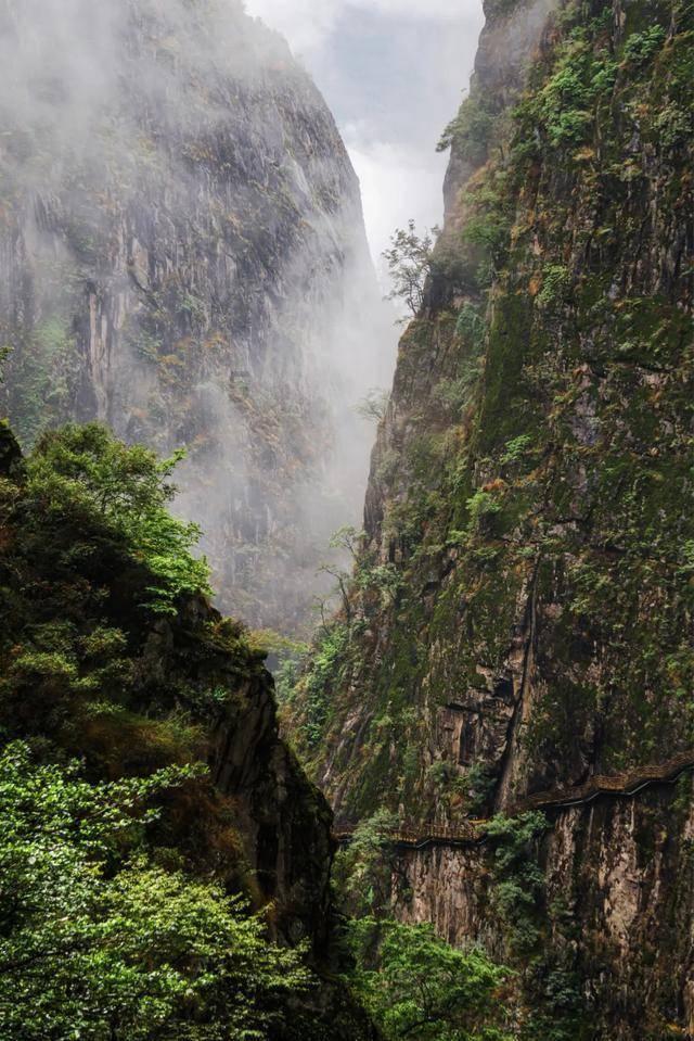 小球进黑洞